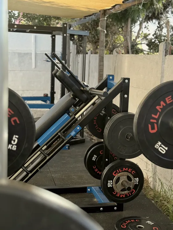 Prensa de piernas y discos